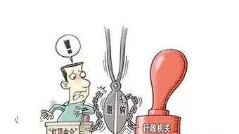 四川深化特種設備行政許可改革 優化營商環境，筑牢安全防線